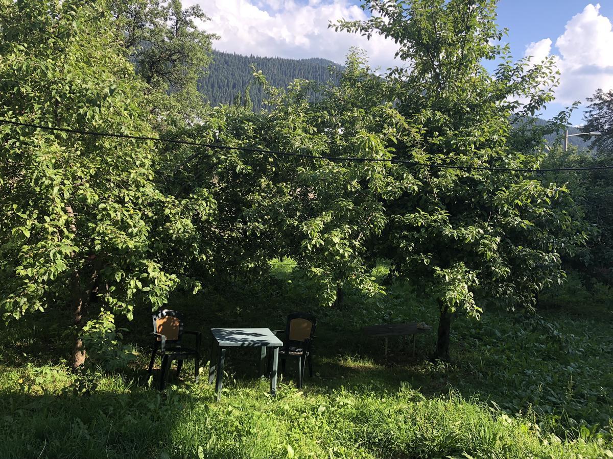 Ametapi Ξενοδοχείο Μέστια Εξωτερικό φωτογραφία